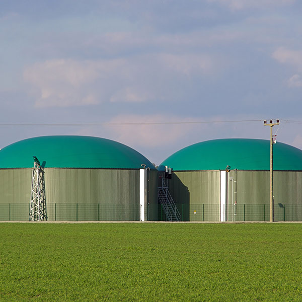 The risk that no one wants: Coverage for a biogas plant A biogas plant | The risk that no one wants: Coverage for a biogas plant with NW Assekuranz
